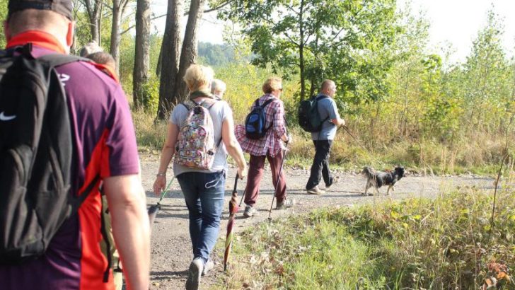 Cztery Pory Roku, Wędrowcy zapraszają do Polkowic