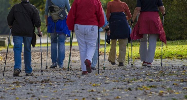 Cztery pory roku z nordic walking