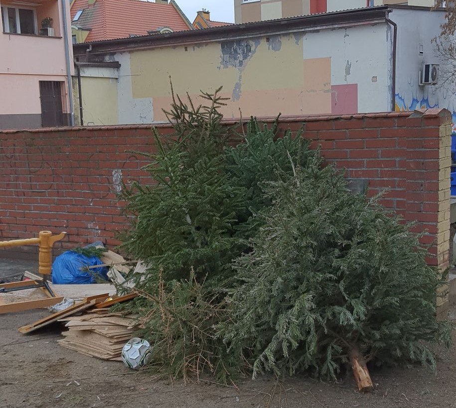 Co zrobić z choinką po świętach?