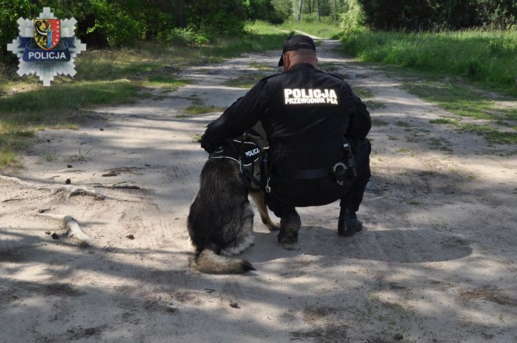 Lubiński policjant i jego pies pomogli zatrzymać dilera