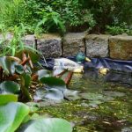 najpiekniejszy_ogrod_rudna_3