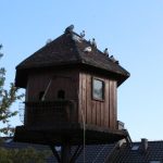 img_3541