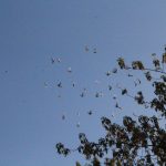 img_3571