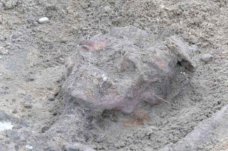 szczątki, budowa S3