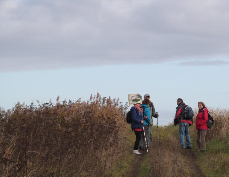 15129495_598479817011302_5648620788654266984_o