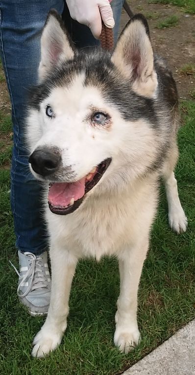 Włóczędzy trafią za kratki