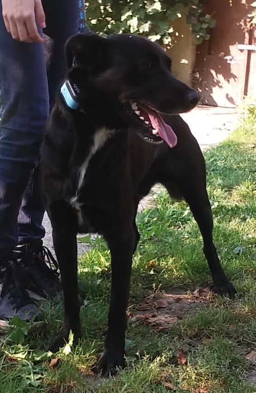 Poszukiwani właściciele