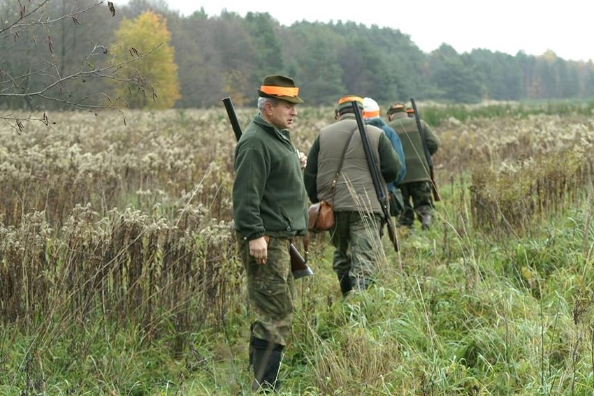 Rozpoczynają polowania