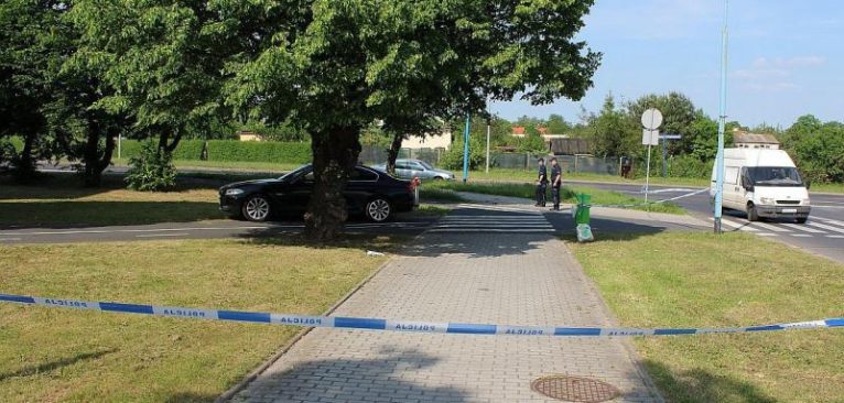 Zdjęcie z maja 2016 roku