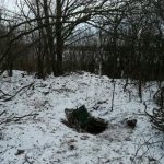 ziemianka z konopiami (9)