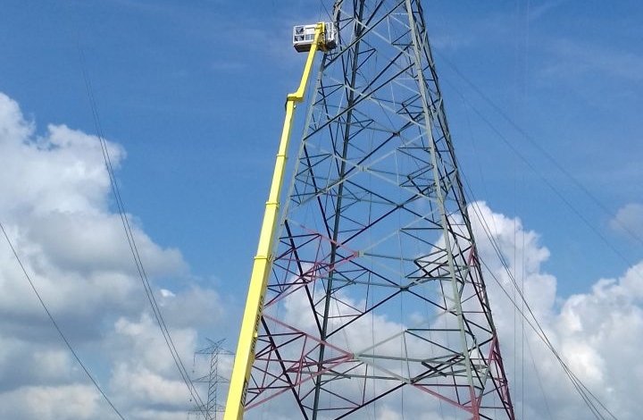 Przemalowali słupy na zielono