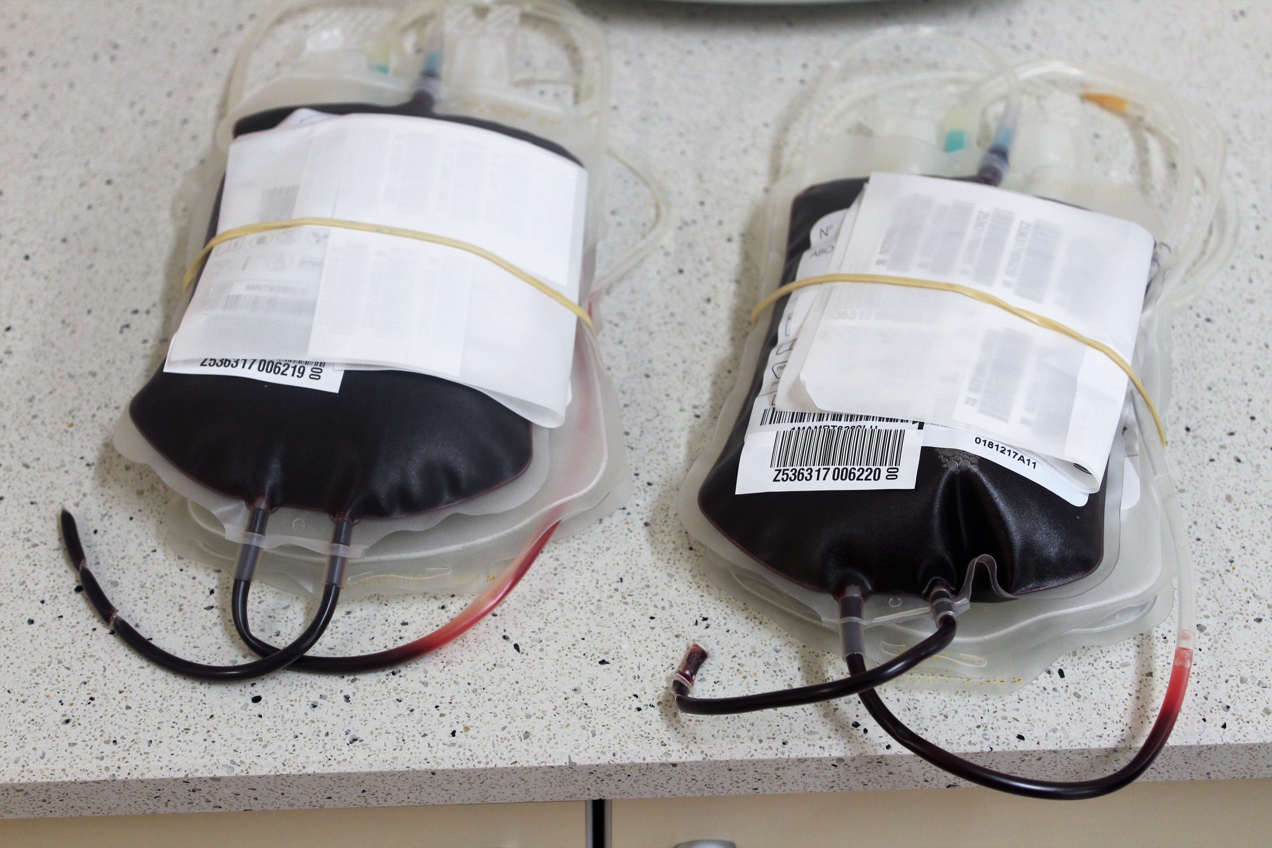 Przyjdź do parku i oddaj krew