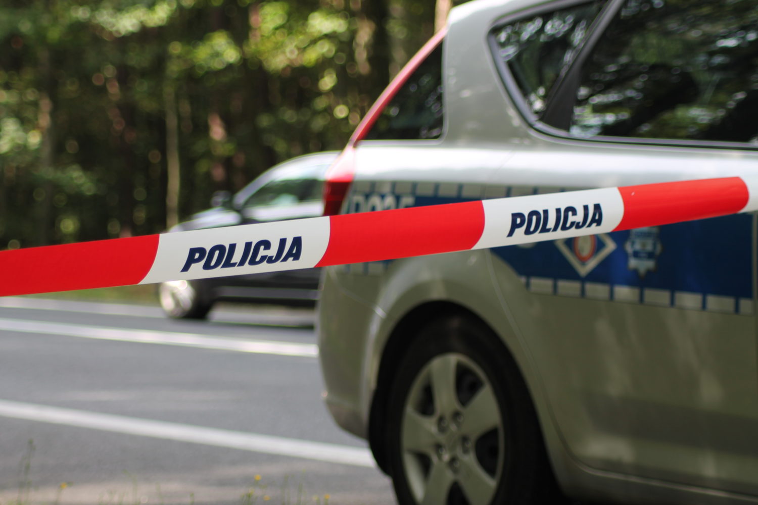 Zatrzymano sprawcę śmiertelnego potrącenia