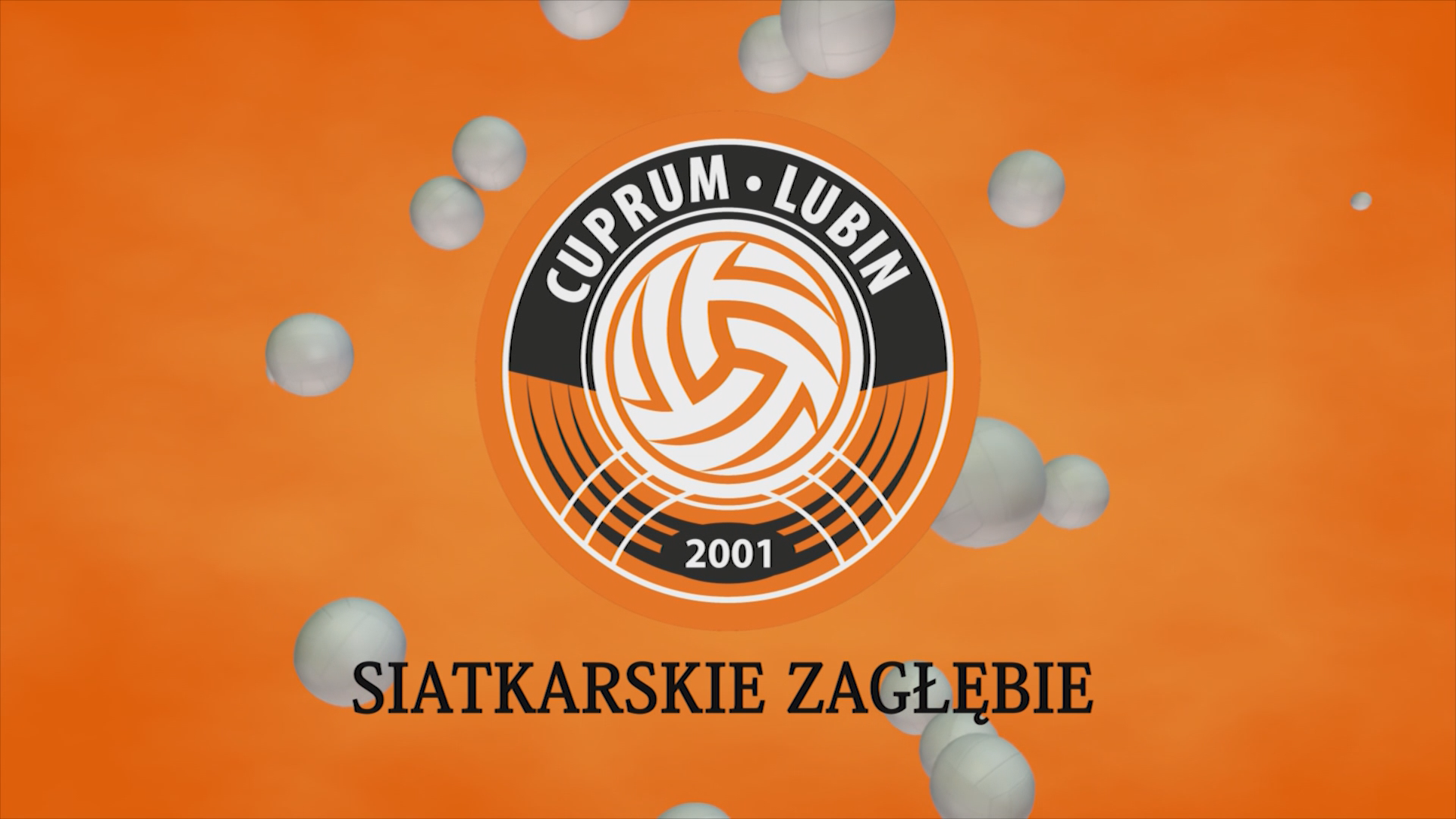 Siatkarskie Zagłębie