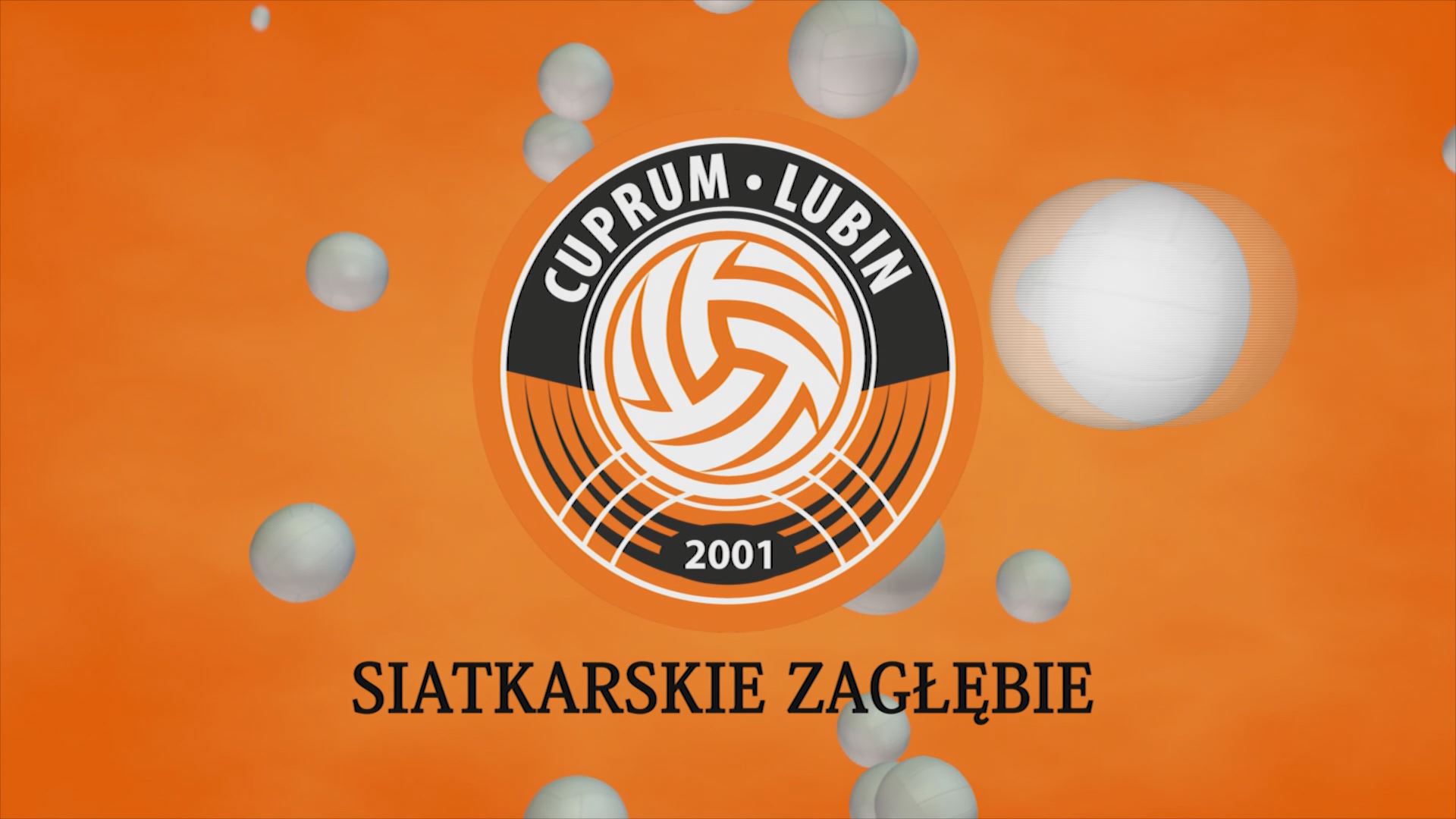 Siatkarskie Zagłębie