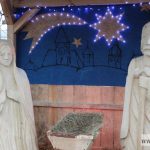 mikołajki zoo park wrocławski zwierzęta002