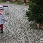 mikołajki zoo park wrocławski zwierzęta007