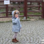 mikołajki zoo park wrocławski zwierzęta010