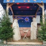 mikołajki zoo park wrocławski zwierzęta016