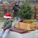 mikołajki zoo park wrocławski zwierzęta017