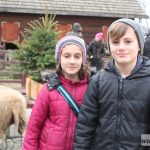 mikołajki zoo park wrocławski zwierzęta019