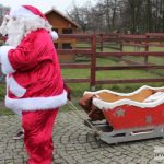 mikołajki zoo park wrocławski zwierzęta028