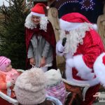 mikołajki zoo park wrocławski zwierzęta032