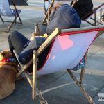 food truck rynek jedzenie street food008