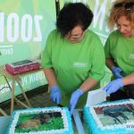 urodziny, zoo, CEP, park Wrocławski, tort, 2018 (29)