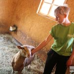 urodziny, zoo, CEP, park Wrocławski, tort, 2018 (60)