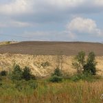 IMG_1551