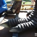 dinozaury nowe park wrocławski (12)