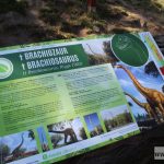 dinozaury nowe park wrocławski (6)