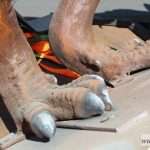 dinozaury nowe park wrocławski (7)