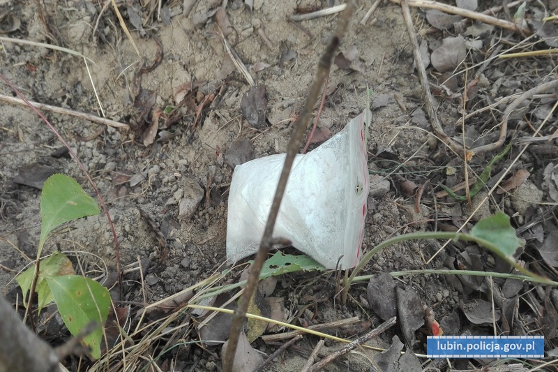 Amfetaminę ukrył w szczerym polu