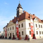 pakunek przy ratuszu (2)