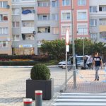 pakunek przy ratuszu1 (10)