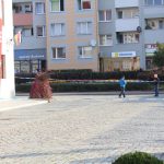 pakunek przy ratuszu1 (4)