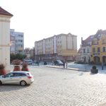 pakunek przy ratuszu1 (6)