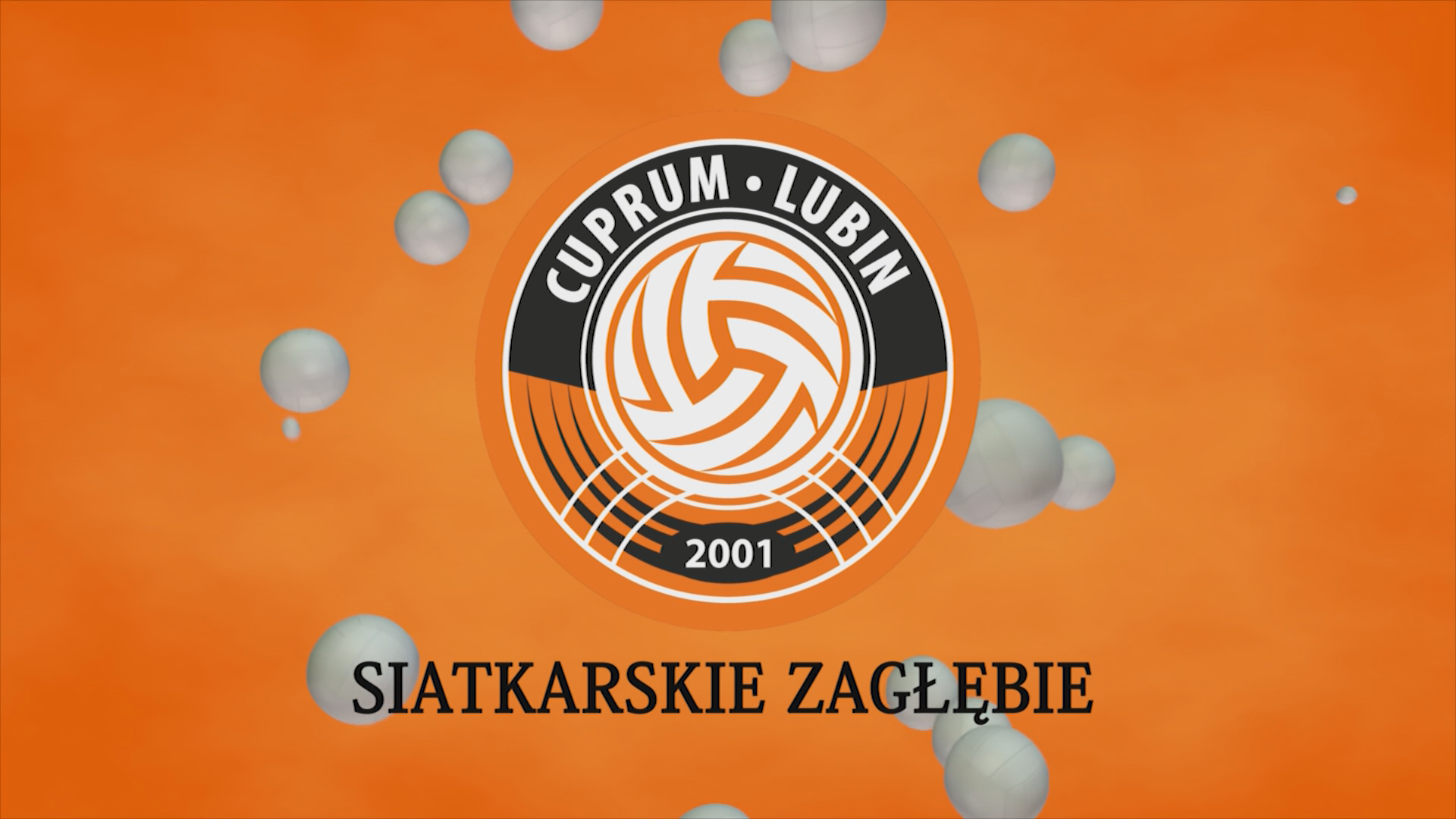 Siatkarskie Zagłębie