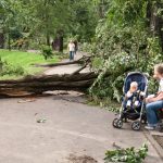 Park Miejski w Legnicy (1)