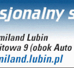 premio1155