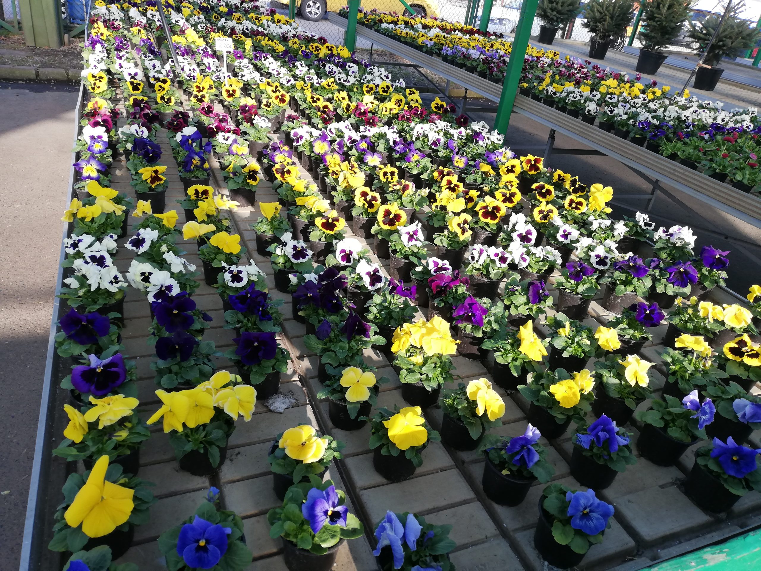 Wiosenna zbiórka elektrośmieci