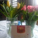 Karolina Orzeł-Pauś