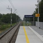 13Gorzelin KD konferencja