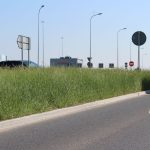 trawa na rondzie (11)