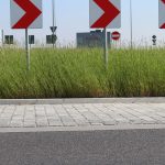 trawa na rondzie (12)