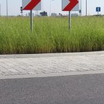 trawa na rondzie (13)