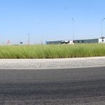 trawa na rondzie (17)