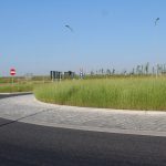 trawa na rondzie (3)